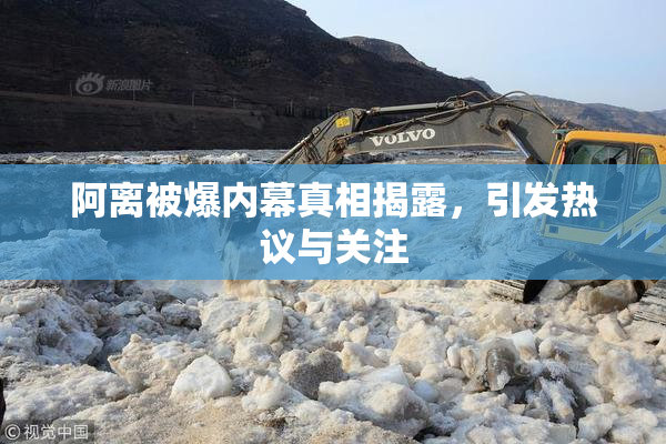 阿离被爆内幕真相揭露，引发热议与关注