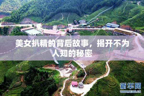 美女扒精的背后故事，揭开不为人知的秘密