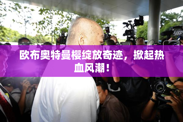 欧布奥特曼樱绽放奇迹，掀起热血风潮！