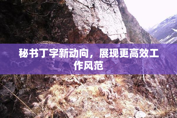 秘书丁字新动向，展现更高效工作风范