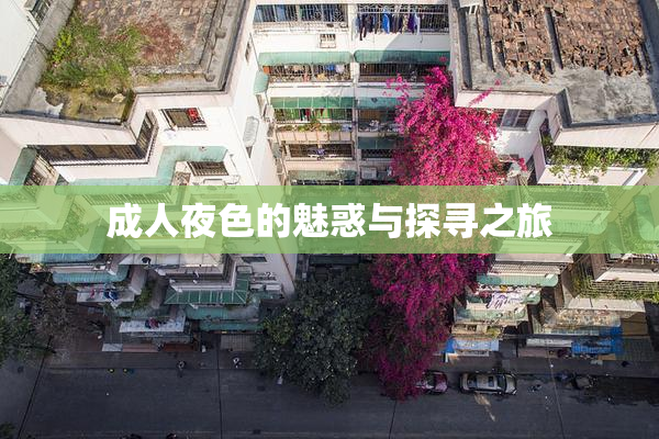 成人夜色的魅惑与探寻之旅