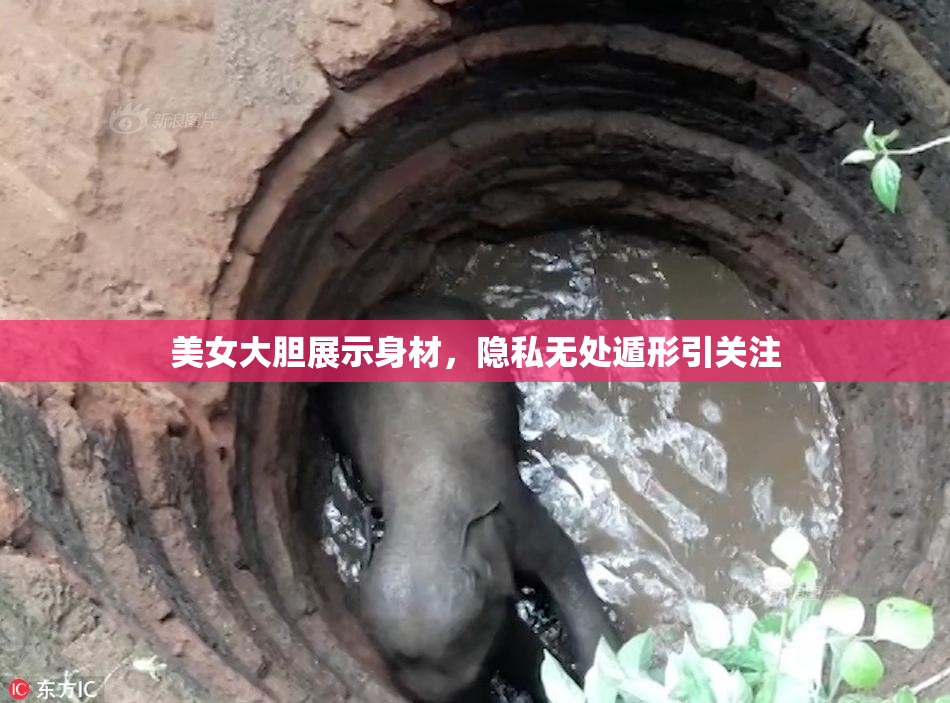 美女大胆展示身材，隐私无处遁形引关注