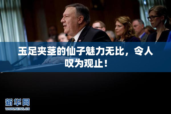 玉足夹茎的仙子魅力无比，令人叹为观止！