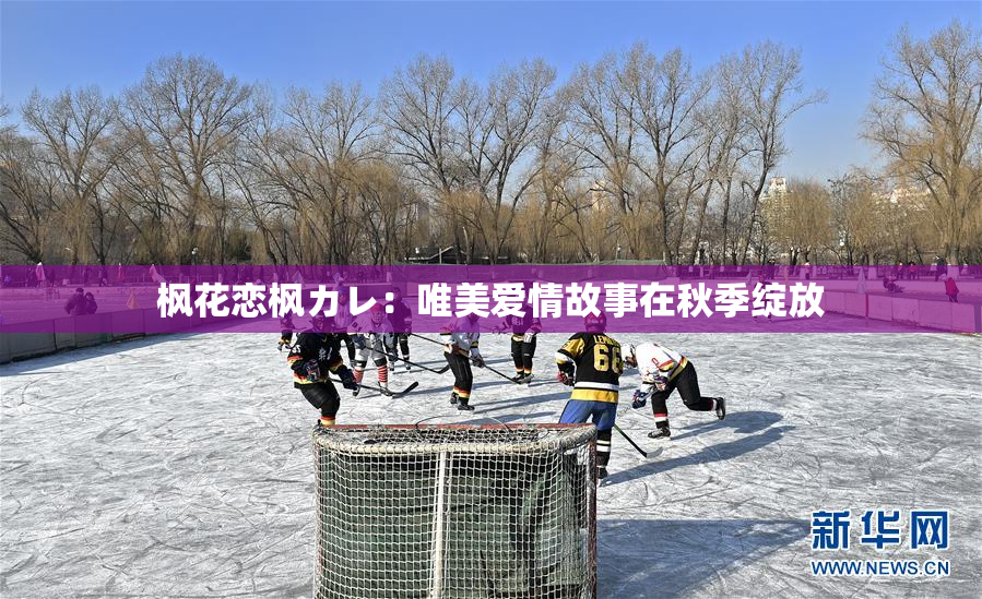 枫花恋枫カレ：唯美爱情故事在秋季绽放