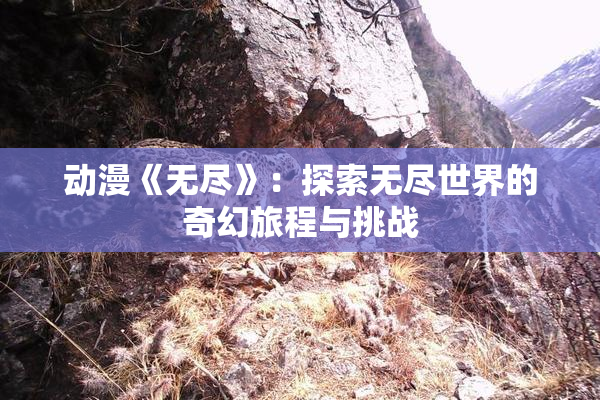 动漫《无尽》：探索无尽世界的奇幻旅程与挑战