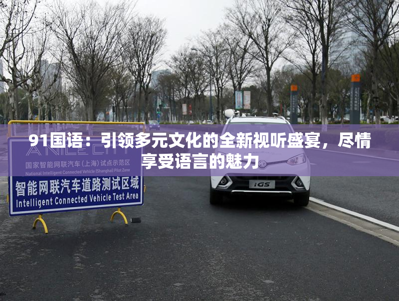 91国语：引领多元文化的全新视听盛宴，尽情享受语言的魅力