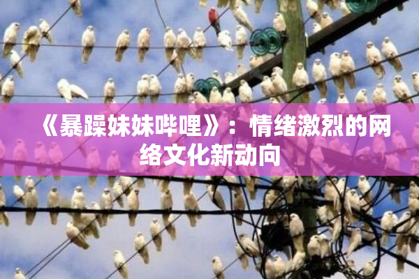 《暴躁妹妹哔哩》：情绪激烈的网络文化新动向