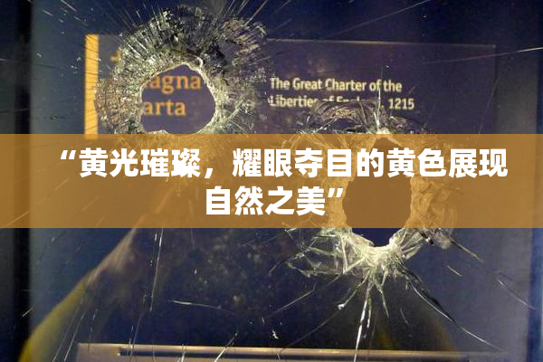 “黄光璀璨，耀眼夺目的黄色展现自然之美”