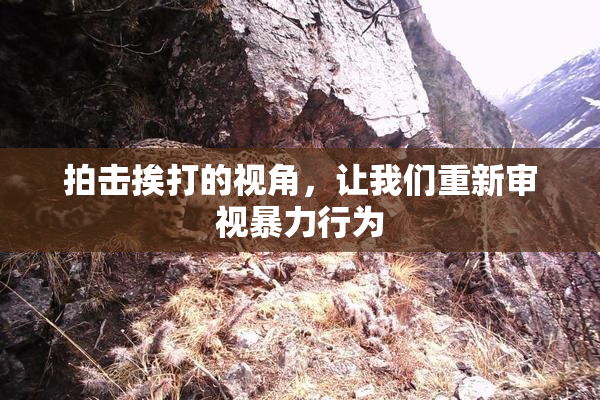 拍击挨打的视角，让我们重新审视暴力行为
