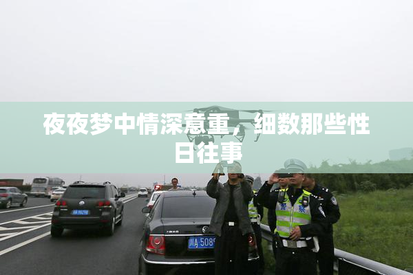 夜夜梦中情深意重，细数那些性日往事