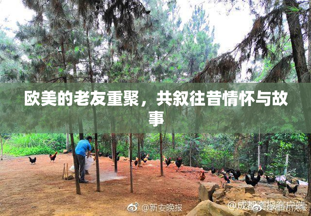 欧美的老友重聚，共叙往昔情怀与故事
