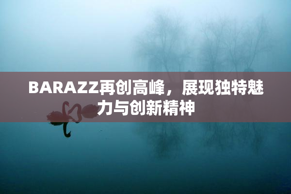BARAZZ再创高峰，展现独特魅力与创新精神