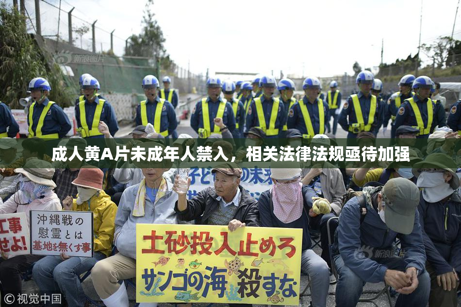 成人黄A片未成年人禁入，相关法律法规亟待加强
