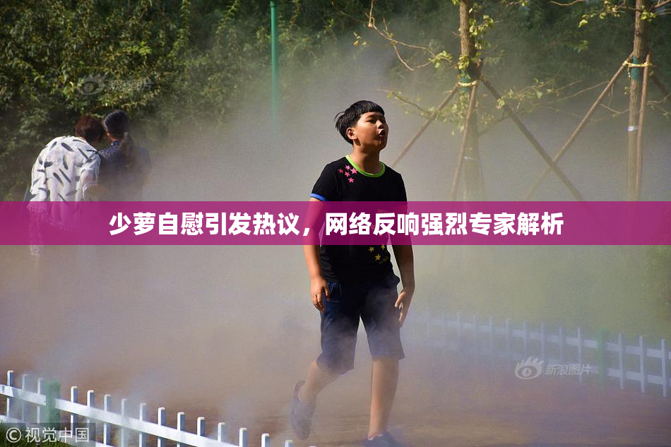 少萝自慰引发热议，网络反响强烈专家解析