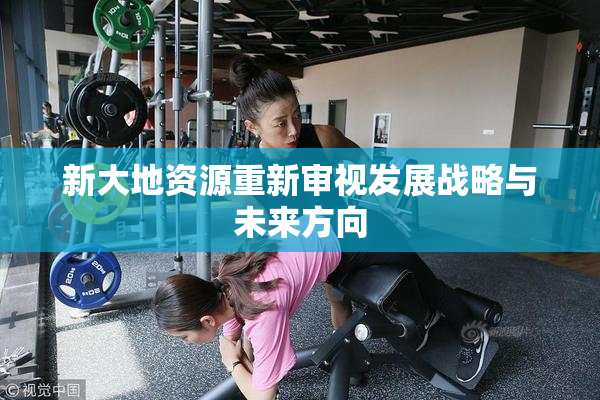 新大地资源重新审视发展战略与未来方向