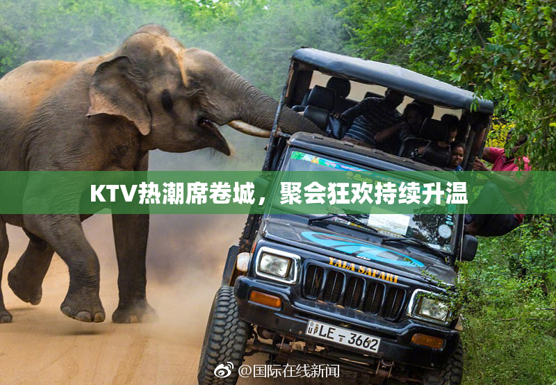 KTV热潮席卷城，聚会狂欢持续升温