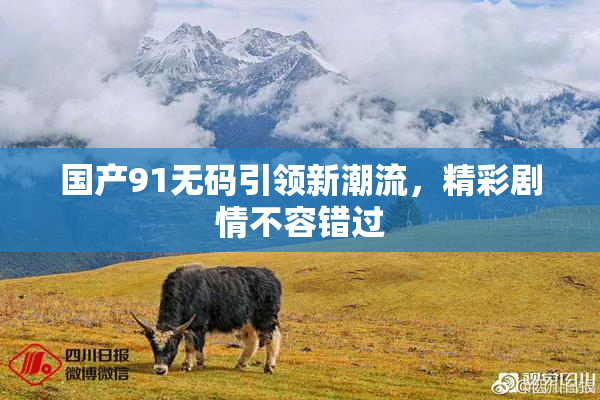 国产91无码引领新潮流，精彩剧情不容错过