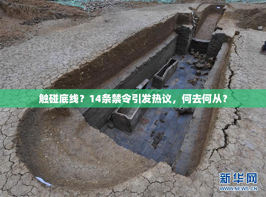 触碰底线？14条禁令引发热议，何去何从？