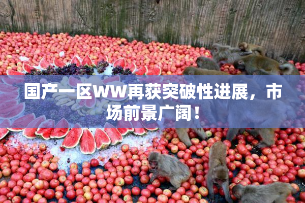 国产一区WW再获突破性进展，市场前景广阔！