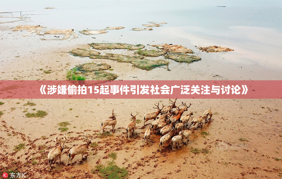 《涉嫌偷拍15起事件引发社会广泛关注与讨论》