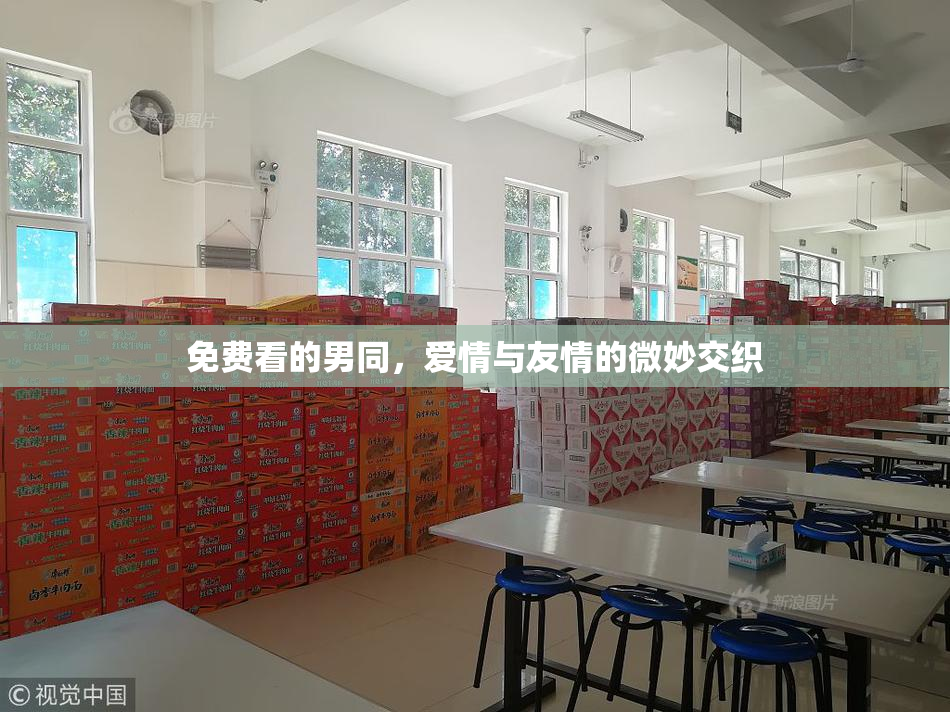 免费看的男同，爱情与友情的微妙交织