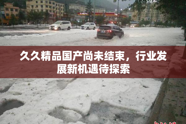 久久精品国产尚未结束，行业发展新机遇待探索