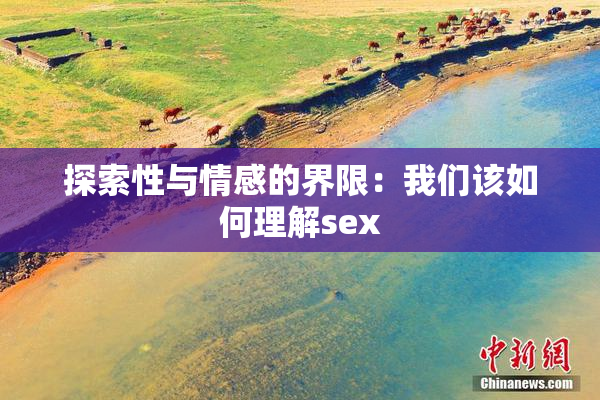 探索性与情感的界限：我们该如何理解sex