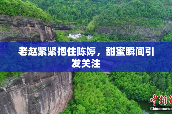 老赵紧紧抱住陈婷，甜蜜瞬间引发关注