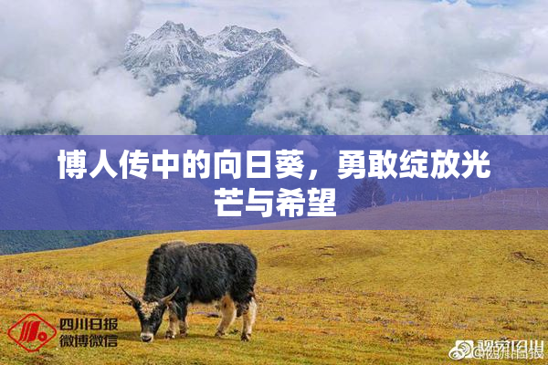 博人传中的向日葵，勇敢绽放光芒与希望