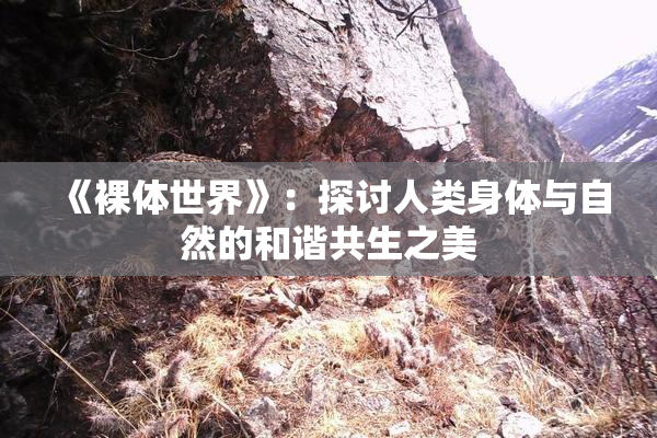 《裸体世界》：探讨人类身体与自然的和谐共生之美