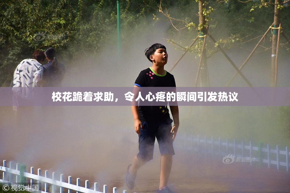 校花跪着求助，令人心疼的瞬间引发热议