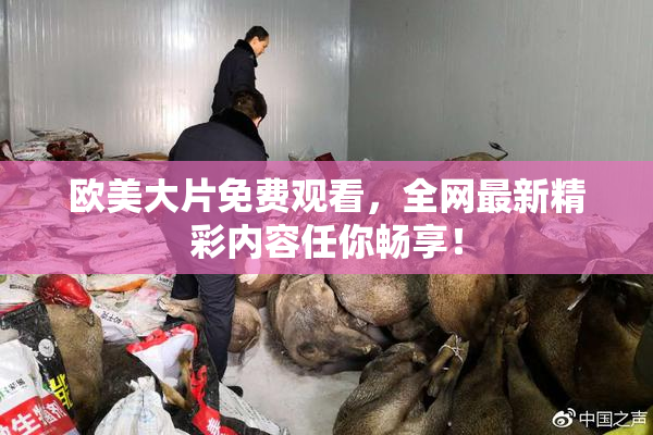 欧美大片免费观看，全网最新精彩内容任你畅享！