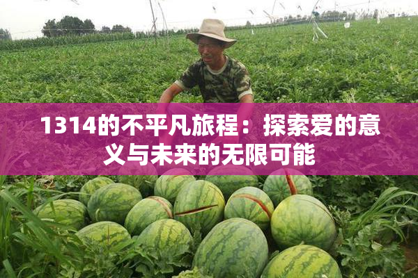 1314的不平凡旅程：探索爱的意义与未来的无限可能