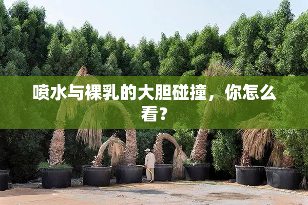 喷水与裸乳的大胆碰撞，你怎么看？