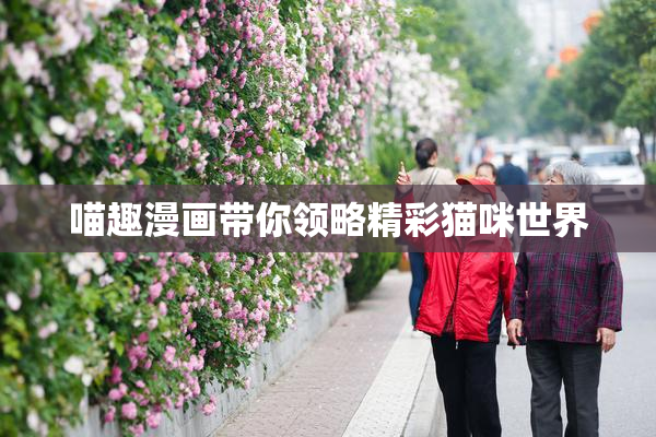 喵趣漫画带你领略精彩猫咪世界