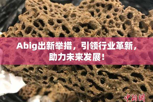 Abig出新举措，引领行业革新，助力未来发展！