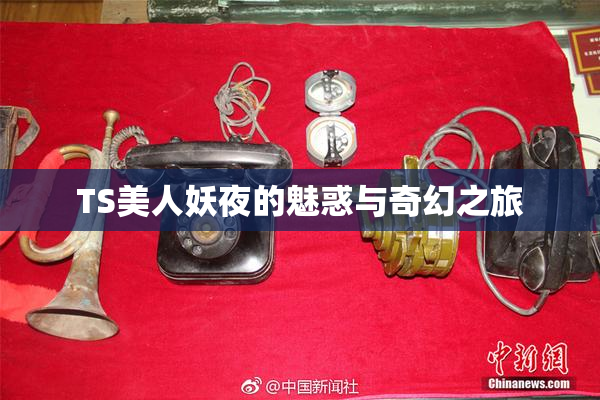 TS美人妖夜的魅惑与奇幻之旅