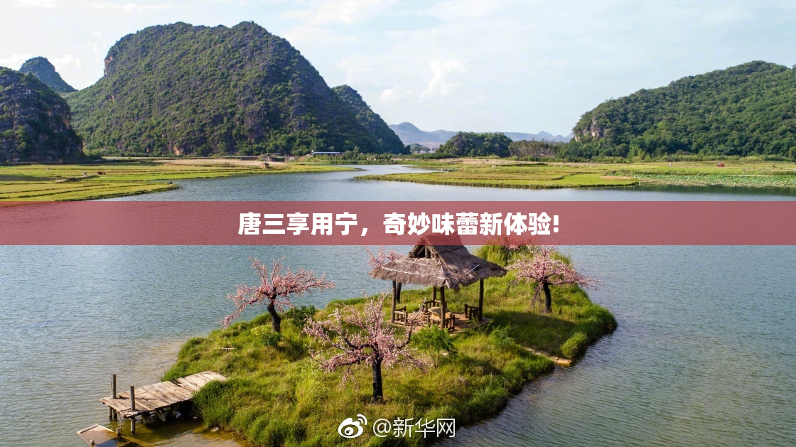 唐三享用宁，奇妙味蕾新体验!