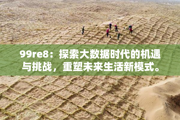 99re8：探索大数据时代的机遇与挑战，重塑未来生活新模式。