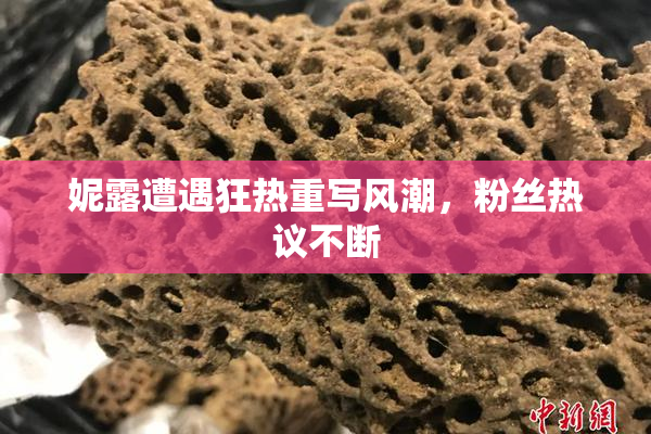 妮露遭遇狂热重写风潮，粉丝热议不断