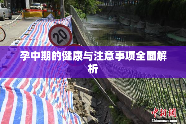 孕中期的健康与注意事项全面解析