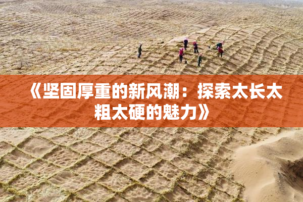 《坚固厚重的新风潮：探索太长太粗太硬的魅力》