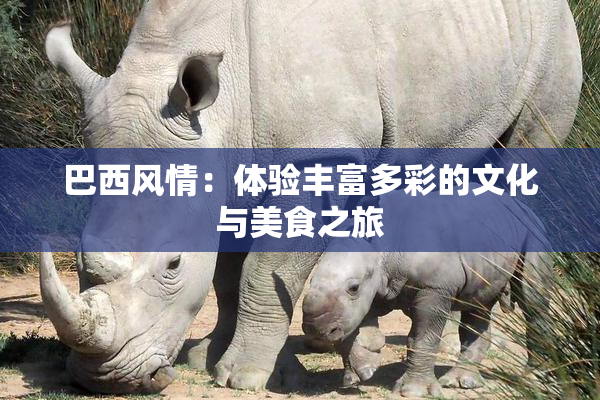 巴西风情：体验丰富多彩的文化与美食之旅