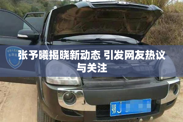 张予曦揭晓新动态 引发网友热议与关注