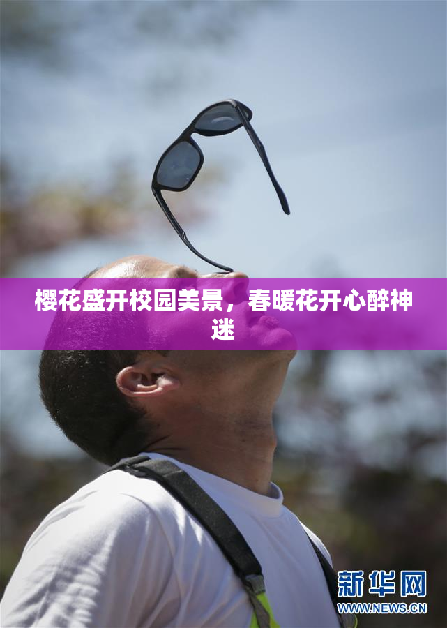 樱花盛开校园美景，春暖花开心醉神迷