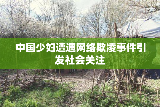 中国少妇遭遇网络欺凌事件引发社会关注