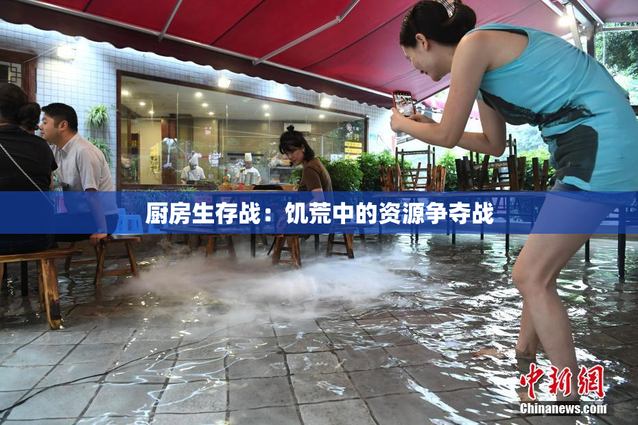 厨房生存战：饥荒中的资源争夺战