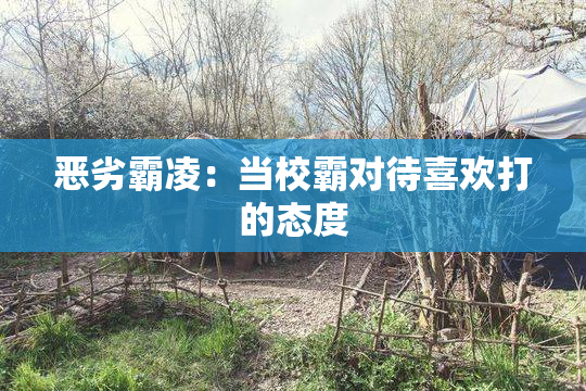恶劣霸凌：当校霸对待喜欢打的态度