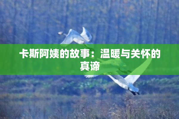 卡斯阿姨的故事：温暖与关怀的真谛