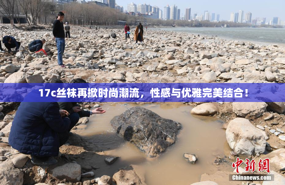 17c丝袜再掀时尚潮流，性感与优雅完美结合！